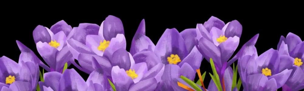 Banner Left Image