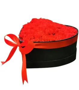 No Carnation Collection image
