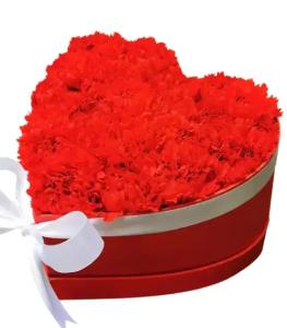 No Carnation Bouquet Delivery image