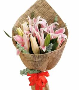 No Stargazer Arrangements image
