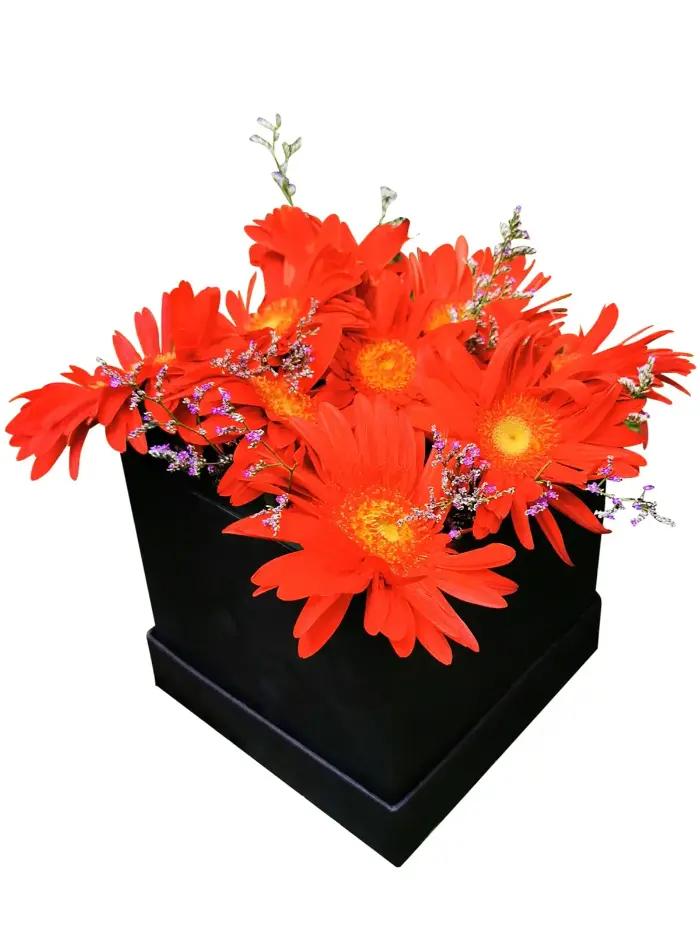 Red Gerbera Love Box – Fresh Romantic Gerbera Flower Gift for Same-Day Delivery