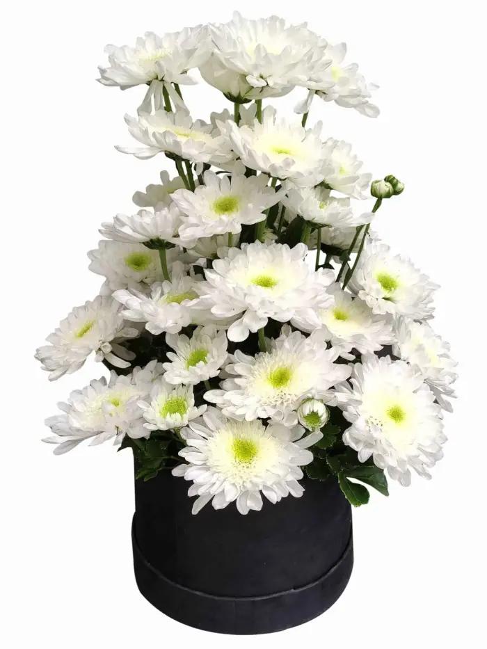 Funeral Flower Arrangements Same Day Delivery To San Quintin City