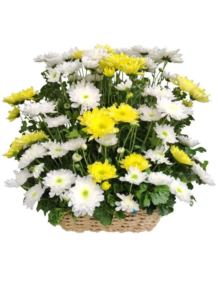 Funeral Flower Arrangements Same Day Delivery To Santo Tomas City