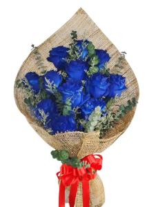 12 stem blue Ecuadorian roses bouquet luxury flower delivery Bulacan