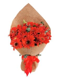 Red Gerberas Bouquet 20 Stems1