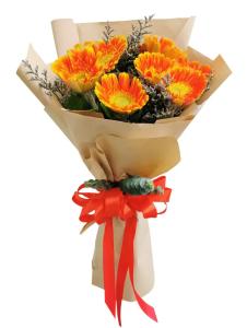 Orange Gerberas Bouquet 20 Stems7
