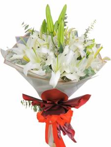 stargazer flower shop caloocan city