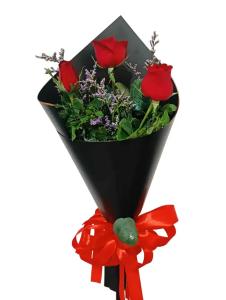 blooms roses