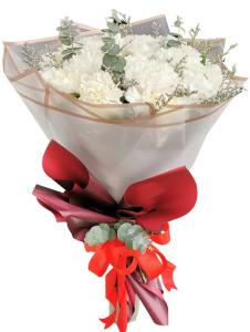 mothers day carnation bouquet caloocan city