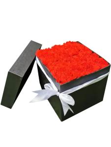 Caloocan carnation flowers premium romantic gift