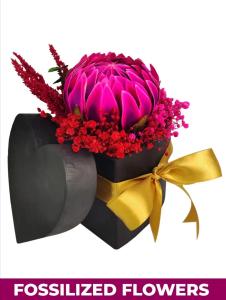 King Protea Fossilized Flower Box | FlowerBouquet.vip Laguna Gift King Protea Fossilized Flower Box – Preserved Gift for Laguna Delivery