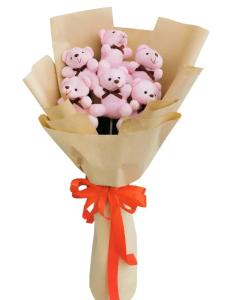 Adorable Soft Teddy Bear Plushie Same Day Delivery To Gumaca City