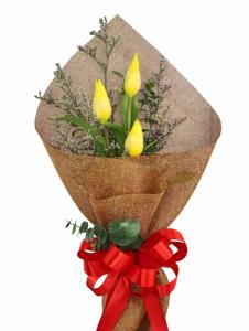 Premium Tulip Flower Bouquet Arrangements Same Day Delivery To Santa-Ignacia City
