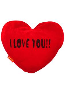 For Loved Ones Add Pillow On Same Day Delivery To Luna City