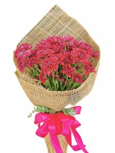 Malaysian Mums Flowers Bouquet for Same-Day Delivery in Laguna Malaysian Mums Flowers Bouquet – Fresh Malaysian Mums for Same-Day Delivery