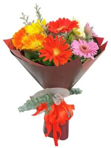 20 pcs mixed gerbera bouquet fresh flowers