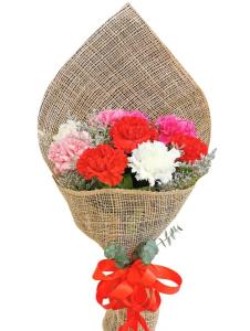 Marikina carnation bouquet with fresh flower delivery