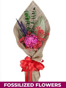 1 Stem Protea Bouquet | FlowerBouquet.vip Metro Manila Gift 1 Stem Protea Bouquet Dried Flower – Gift for Metro Manila Delivery