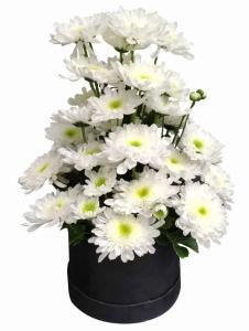 Funeral Flower Arrangements Same Day Delivery To San Quintin City