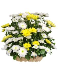Funeral Flower Arrangements Same Day Delivery To Santo Tomas City