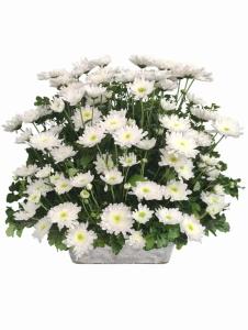 Funeral Flower Arrangements Same Day Delivery To Urbiztondo City