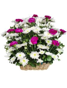 Peaceful white Radus and carnations sympathy flower basket for funeral delivery in Caloocan City