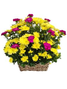 Yellow Radus and carnation sympathy flower basket for funeral delivery in Las Piñas City