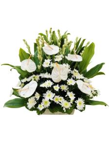 White Radus Mums, Azucena, and Anthurium sympathy bouquet for funeral delivery in Makati City