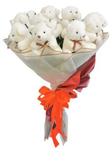 teddy plush toys