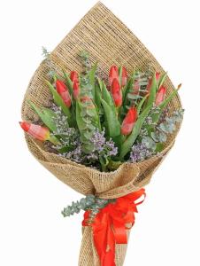 12 stem red tulip bouquet with satin ribbon same day delivery in Rizal