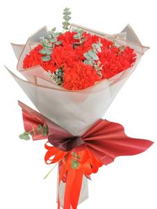 carnation price caloocan city