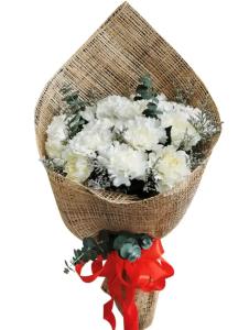 20 Pcs White Carnation Bouquet – Sympathy, Mother’s Day & More 20 Pcs White Carnation Bouquet – Elegant Flowers for Every Occasion